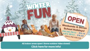 Winter Fun Activities